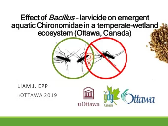 Effe  ffect of of Bac acillus  lar  arvicide  deon  on em  emer  ergent  nt  aq  aqua  uatic Chi