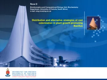 Distribution and alternative strategies of root  colonization in plant growth promoting  Bacillus