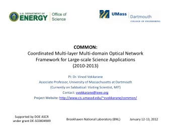 COMMON: Coordinated Multi  layer Multi  domain Optical Network Framework for Large  scale