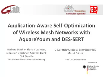 Application-Aware Self-Optimization  of Wireless Mesh Networks with  AquareYoum and DES-SERT