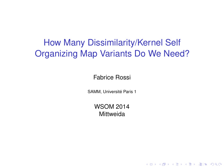 how many dissimilarity kernel self organizing map