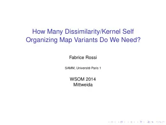 How Many Dissimilarity/Kernel Self  Organizing Map Variants Do We Need?  Fabrice Rossi  SAMM,