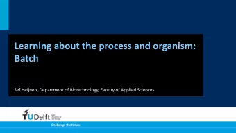 Learning about the process and organism:  Batch  Sef Heijnen, Department of Biotechnology, Faculty
