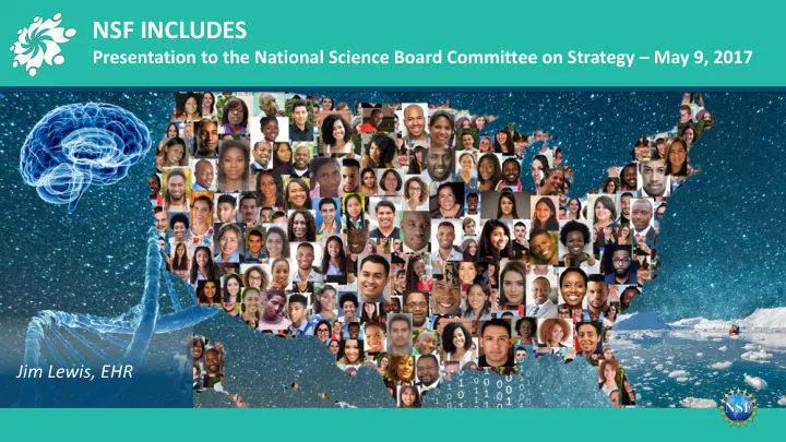nsf includes