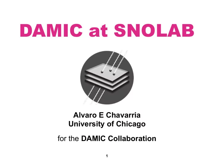 damic at snolab