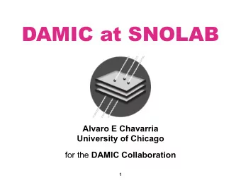 DAMIC at SNOLAB  Alvaro E Chavarria  University of Chicago for the DAMIC Collaboration  1  Outline