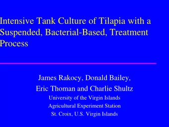 Intensive Tank Culture of Tilapia with a  Suspended, Bacterial-Based, Treatment  Process  James