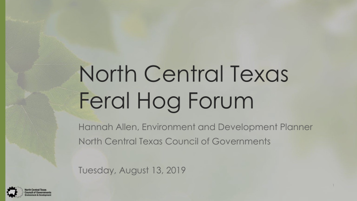 north central texas feral hog forum