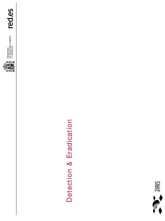 Detection &amp; Eradication  About RedIRIS  Spanish Academic  &amp; Research  Network