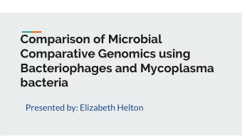 Comparison of Microbial  Comparative Genomics using  Bacteriophages and Mycoplasma  bacteria