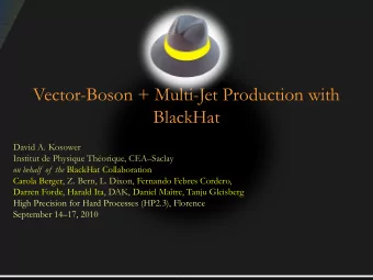 Vector-Boson + Multi-Jet Production with  BlackHat  David A. Kosower  Institut de Physique