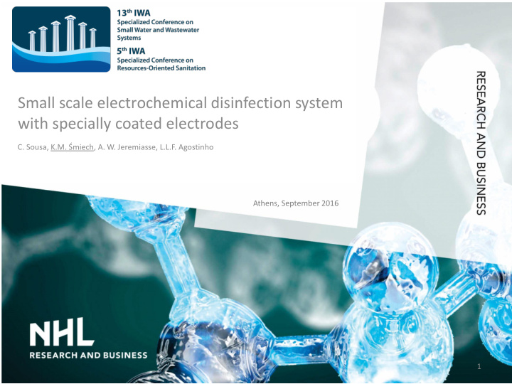 small scale electrochemical disinfection system with