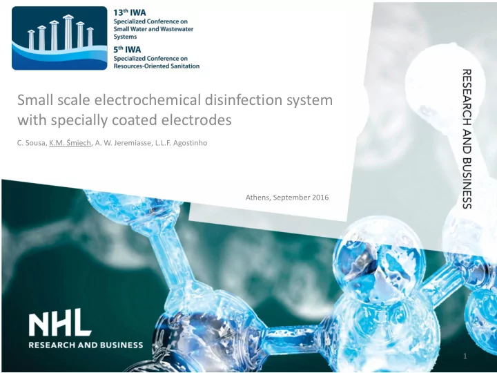small scale electrochemical disinfection system with