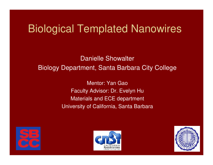 biological templated nanowires