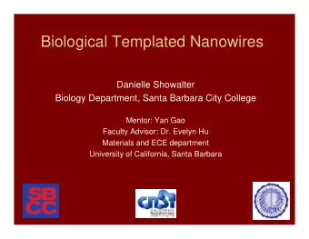 Biological Templated Nanowires  Danielle Showalter  Biology Department, Santa Barbara City College