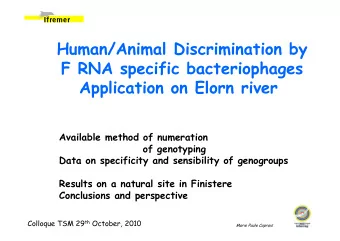 Human/Animal Discrimination by  F RNA specific bacteriophages  Application on Elorn river