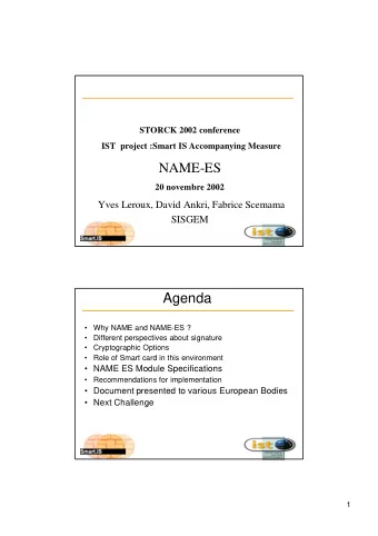 NAME-ES  20 novembre 2002  Yves Leroux, David Ankri, Fabrice Scemama  SISGEM  Agenda    Why NAME