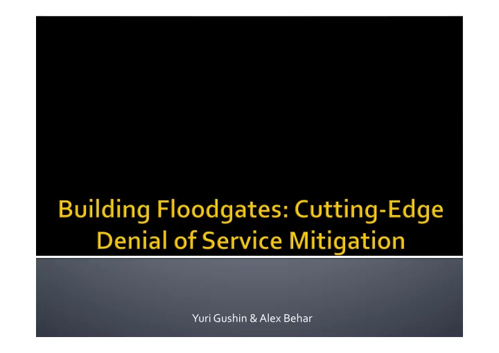 yuri gushin alex behar introduction dos attacks overview