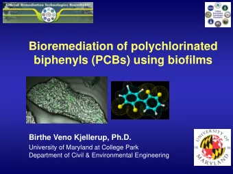 Bioremediation of polychlorinated  biphenyls (PCBs) using biofilms Birthe Veno Kjellerup, Ph.D.