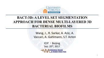 BACT-3D: A LEVEL SET SEGMENTATION  APPROACH FOR DENSE MULTI-LAYERED 3D  BACTERIAL BIOFILMS  Wang,
