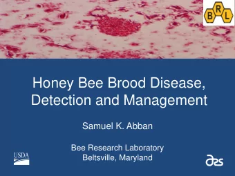 Honey Bee Brood Disease,  Detection and Management  Samuel K. Abban  Bee Research Laboratory