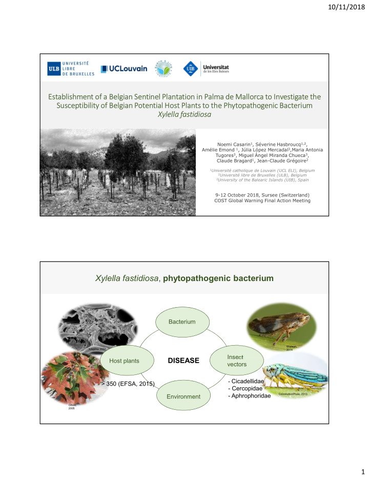 xylella fastidiosa phytopathogenic bacterium