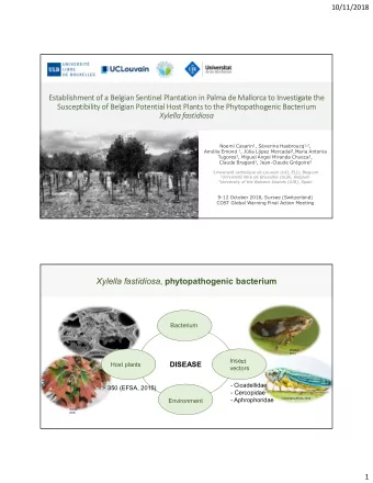 Xylella fastidiosa , phytopathogenic bacterium  Bacterium  Walwyn,  Kitajima, 2007  2014  Insect
