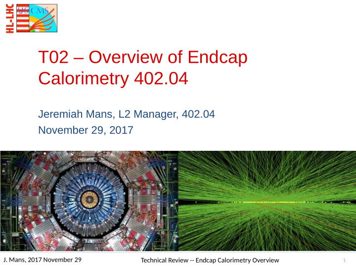 t02 overview of endcap calorimetry 402 04