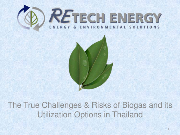 the true challenges amp risks of biogas and its
