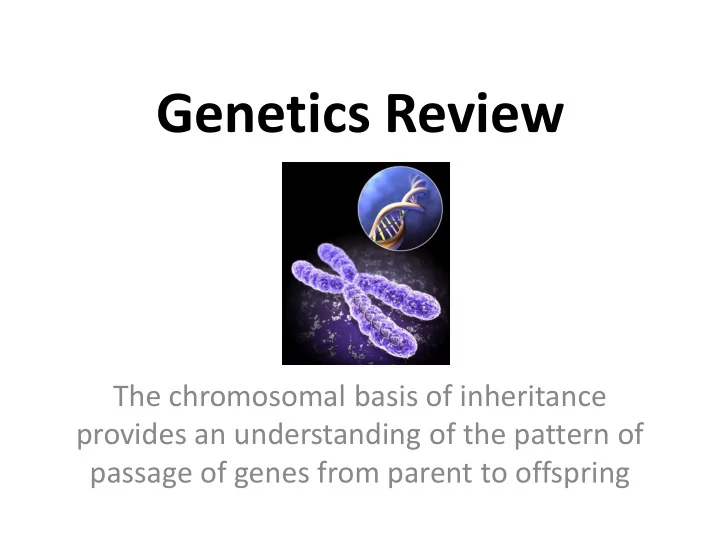 genetics review