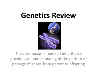 Genetics Review  The chromosomal basis of inheritance  provides an understanding of the pattern of