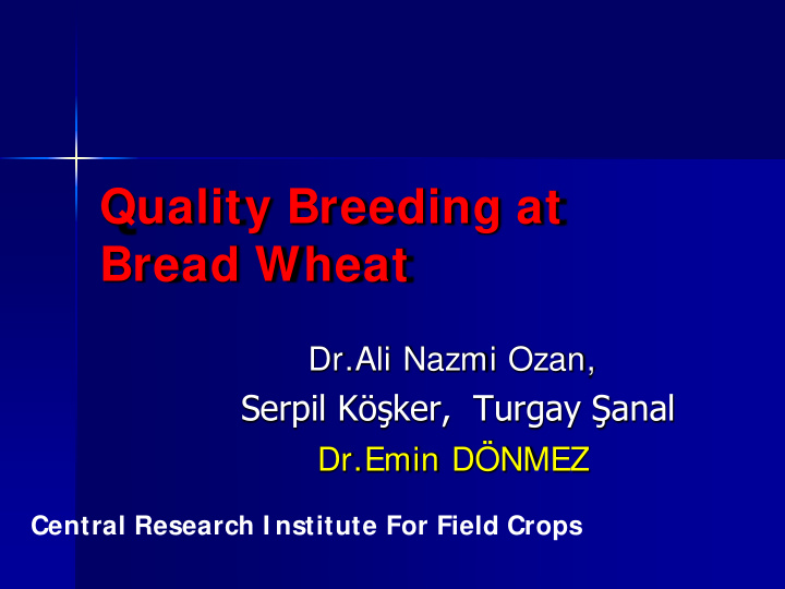 quality breeding at bread wheat