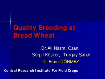 Quality Breeding at  Bread Wheat  Dr.Ali Nazmi Ozan, Serpil Kker,  Turgay anal  Dr.Emin