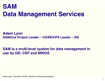 SAM  Data Management Services  Adam Lyon  SAMGrid Project Leader  CD/REX/PS Leader  D  SAM