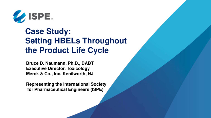case study setting hbels throughout the product life cycle