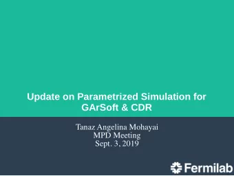 Update on Parametrized Simulation for  GArSoft &amp; CDR  Tanaz Angelina Mohayai  MPD Meeting