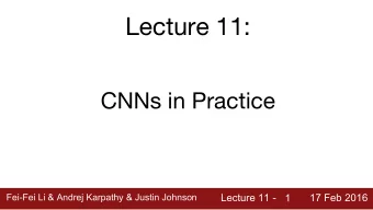Lecture 11:  CNNs in Practice  Fei-Fei Li &amp; Andrej Karpathy &amp; Justin Johnson  Fei-Fei Li