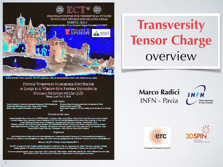 transversity