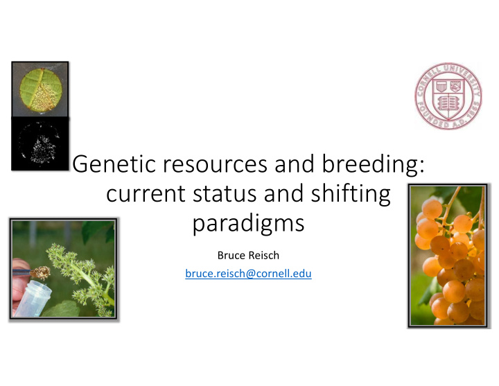 genetic resources and breeding current status and