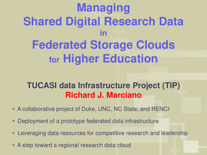 tucasi data infrastructure project tip richard j marciano