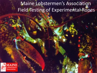 Maine Lobstermens Association  Field Testing of Experimental Ropes  Overview of Ropes