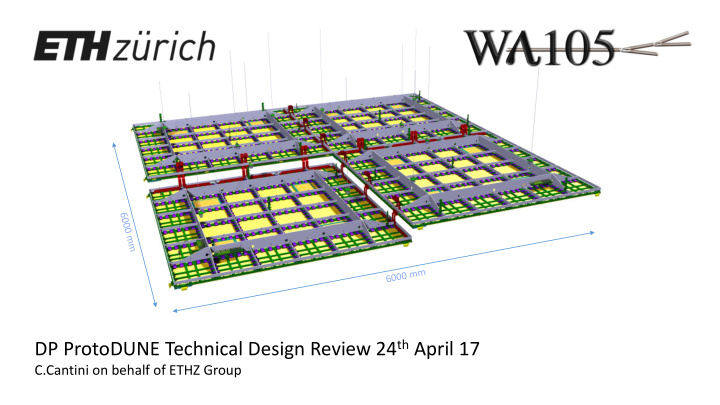 dp protodune technical design review 24 th april 17