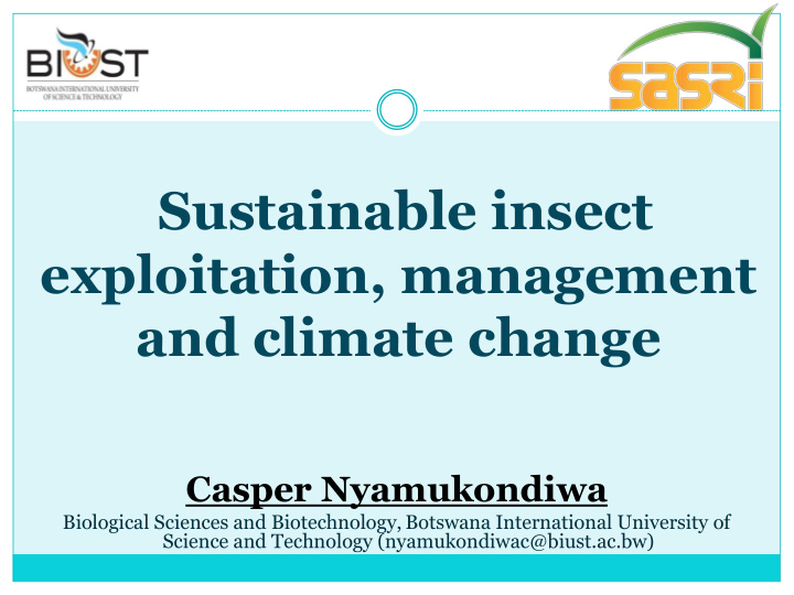 sustainable insect