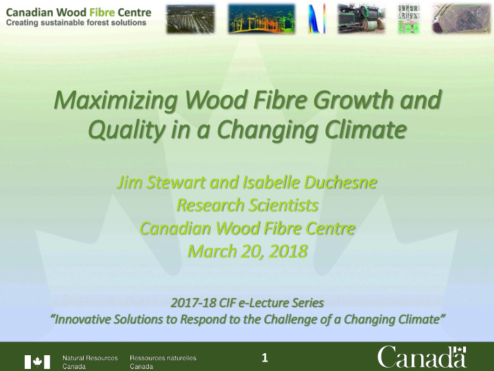maximizing wood fib ibre growth and quality in in a