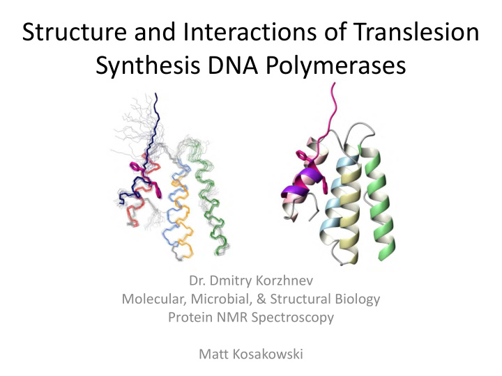 structure and interactions of translesion