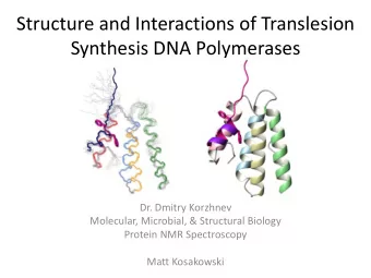 Structure and Interactions of Translesion  Synthesis DNA Polymerases  Dr. Dmitry Korzhnev