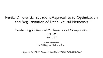 Partial Differential Equations Approaches to Optimization  and Regularization of Deep Neural