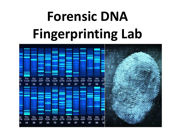 forensic dna fingerprinting lab tools and technology used