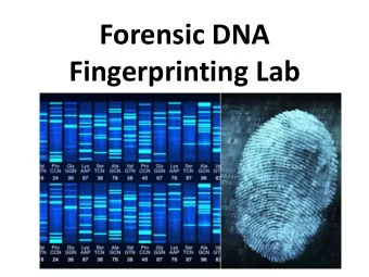 Forensic DNA  Fingerprinting Lab  Tools and Technology Used During Lab  p20 micropipette