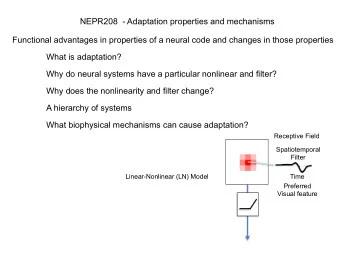NEPR208  - Adaptation properties and mechanisms  Functional advantages in properties of a neural